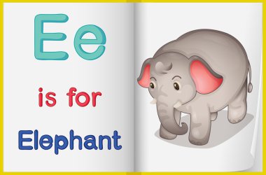 bir fil bir kitapta resmini