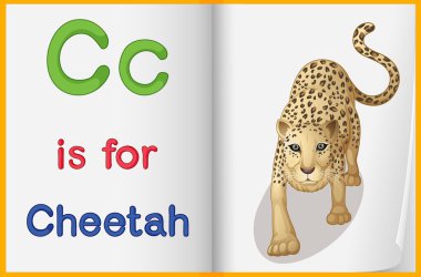 Bir çita kitap resmi