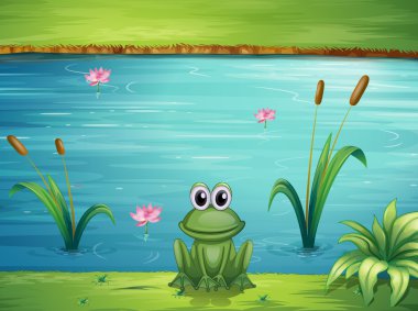 A river and a frog