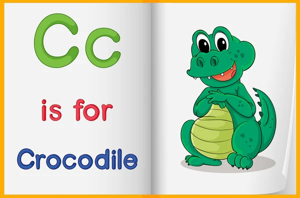 Una foto di un coccodrillo in un libro — Vettoriale Stock