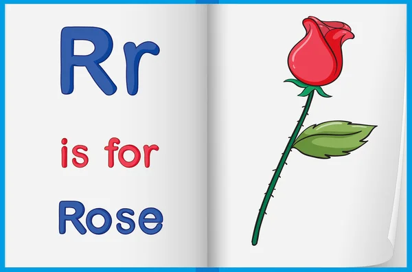 Una foto de una rosa en un libro — Vector de stock