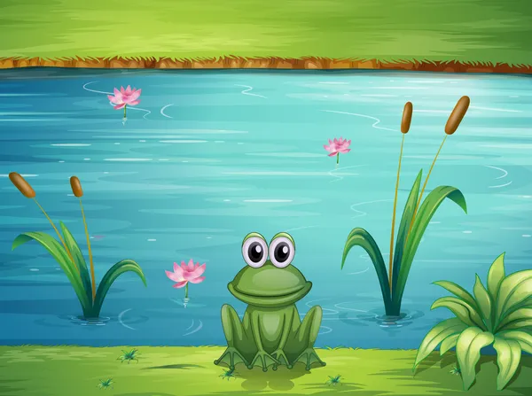 Ein Fluss und ein Frosch — Stockvektor