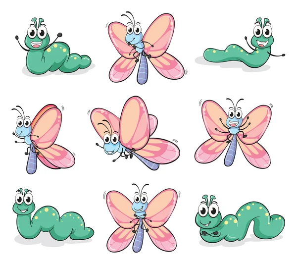 Housenky a motýl — Stockový vektor