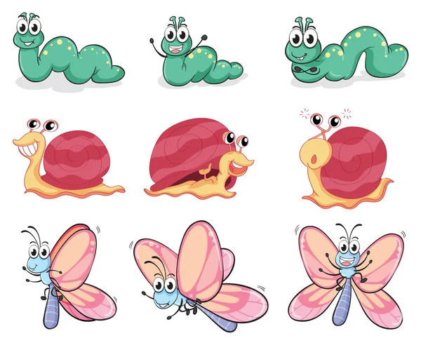 Une chenille, un papillon et un escargot — Image vectorielle