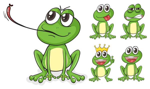 Green frogs — Stock Vector