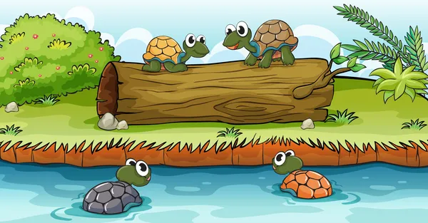 Turtles on water and log — Stock Vector