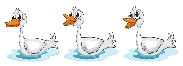 Smiling ducks — Stock Vector