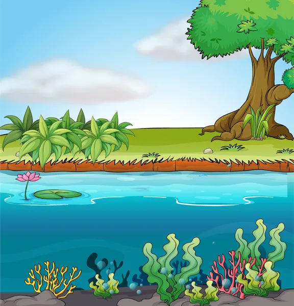 Land and aquatic environment — Stock Vector