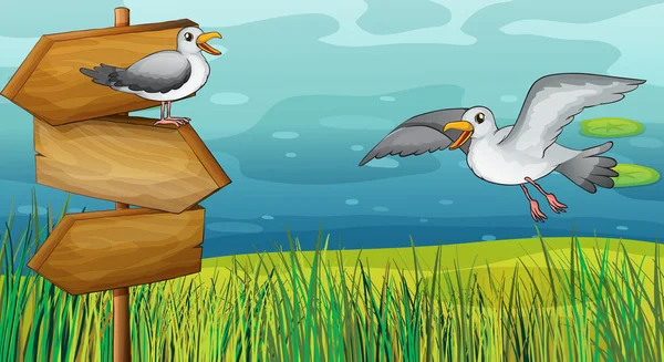 Deux oiseaux gazouillis — Image vectorielle