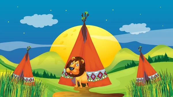 A lion inside a tent — Stock Vector