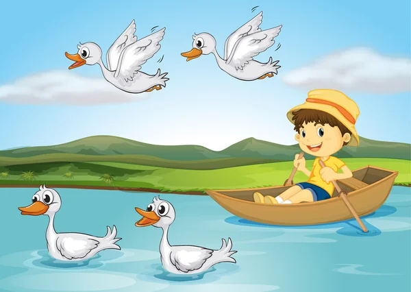 Ducks and a kid — Stock Vector