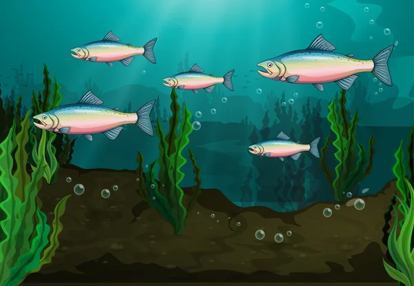 A school of fish — Stock Vector