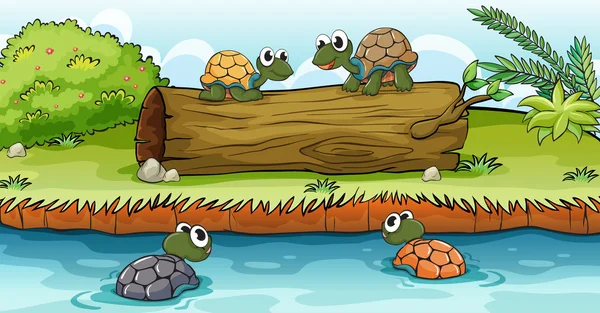 Turtles on water and log — Stock Vector