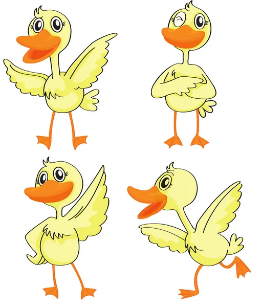 Cuatro patitos — Vector de stock