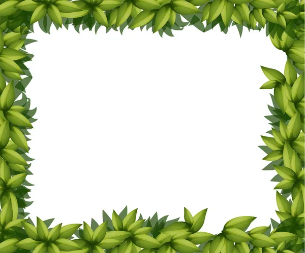 Border made of leaves — Stock Vector