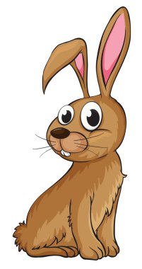 gülümseyen bir tavşan