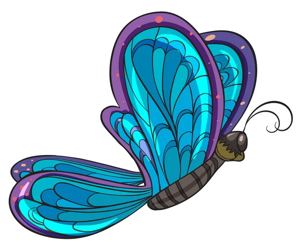 화려한 나비 — 스톡 벡터