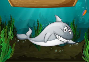 köpek balığı balık ve bir Bank