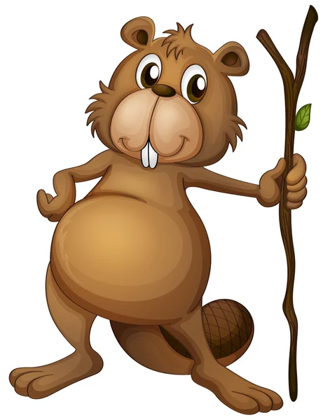 A beaver holding a stem — Stock Vector