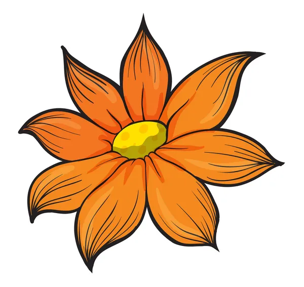 An orange flower — Stock Vector