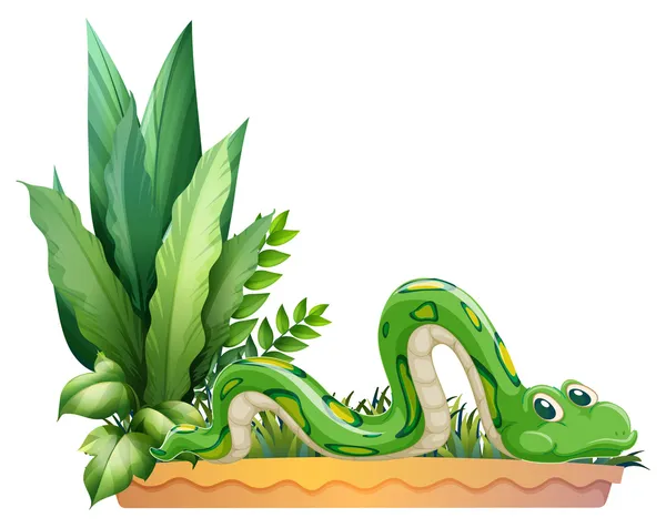 Un serpent vert — Image vectorielle