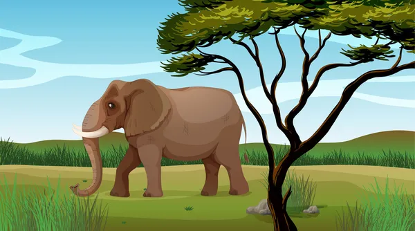 巨大な象 — ストックベクタ