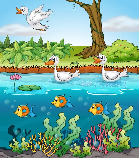 Cisnes y peces — Vector de stock