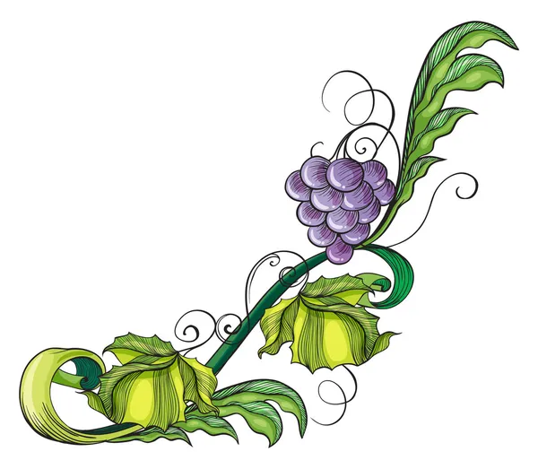 A grape vine border — Stock Vector