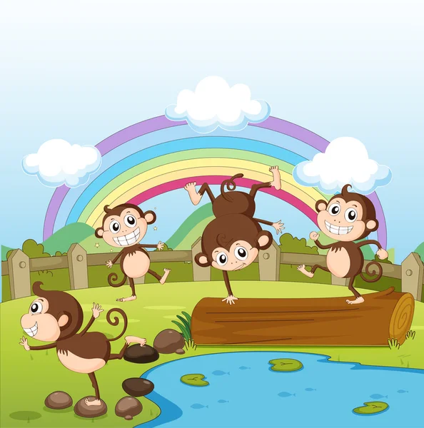 Monkeys and a rainbow — Stock Vector