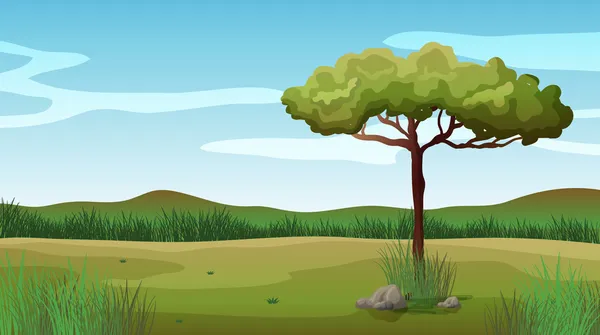 Uma árvore e uma bela paisagem — Vetor de Stock
