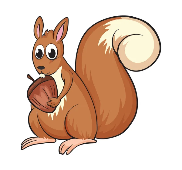Egy mókus — Stock Vector