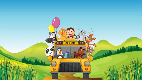 Vari animali e zoo bus — Vettoriale Stock