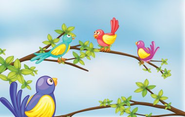 Colorful birds talking clipart