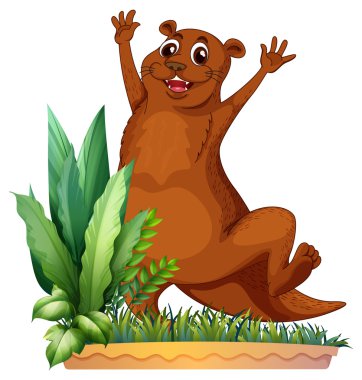 kahverengi bir hayvan