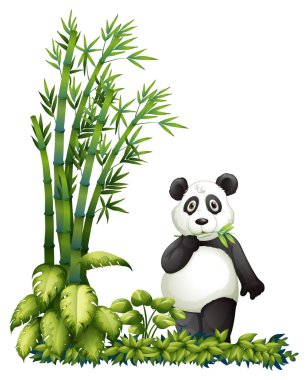 yeme bir panda