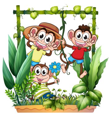 Three monkeys playing clipart