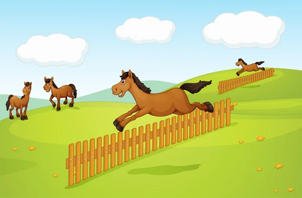Los cuatro caballos — Vector de stock