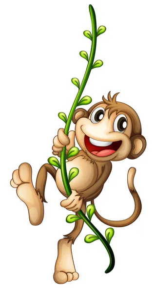 A monkey hanging on a vine — Stock Vector