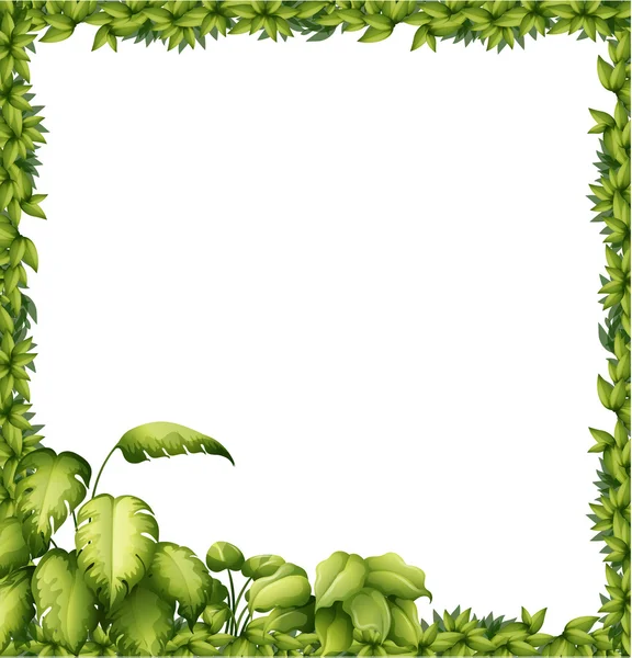 A green frame — Stock Vector