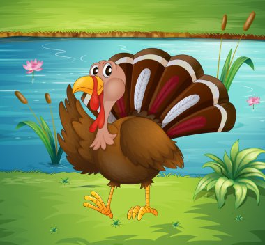 nehir kenarında yürürken bir Türkiye