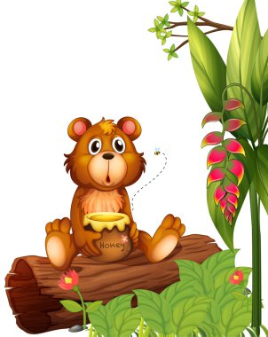 bal tutan bir kunduz