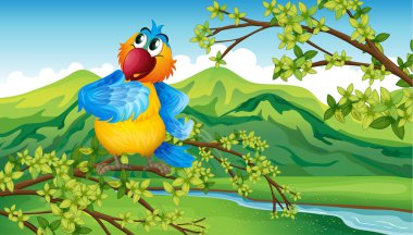 nehir kıyısına yakın bir papağan