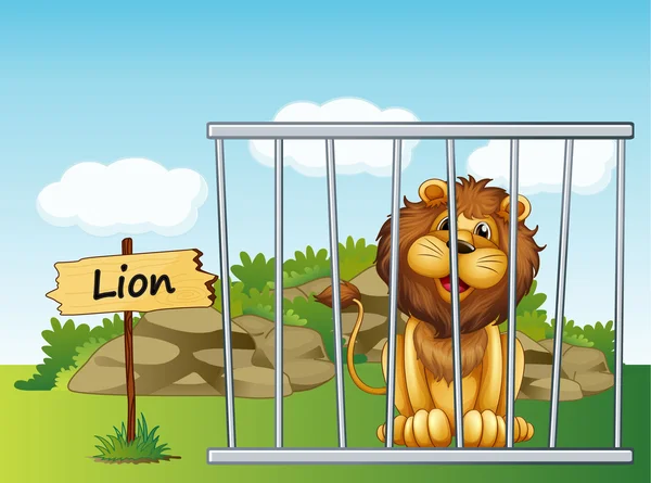 A lion in a fence — Stock Vector