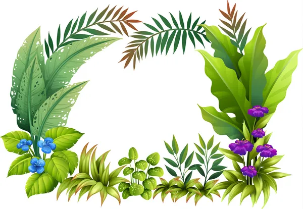 Plantas y flores — Vector de stock