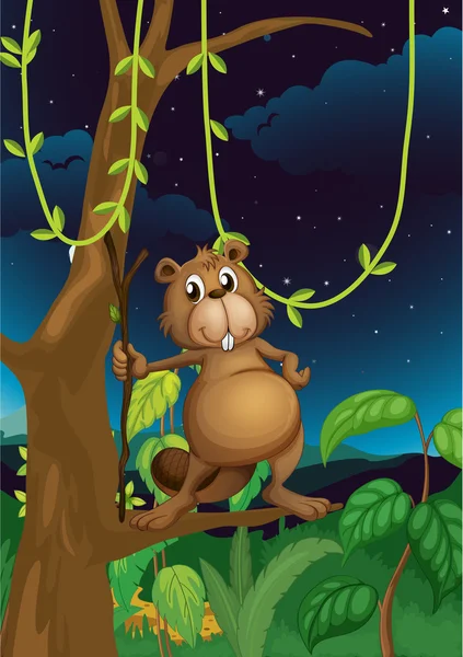 A beaver in the jungle — Stock Vector