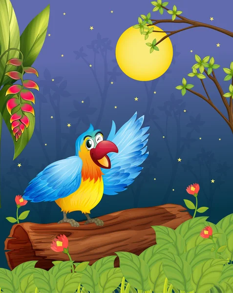 Un pappagallo colorato in una serata luminosa — Vettoriale Stock