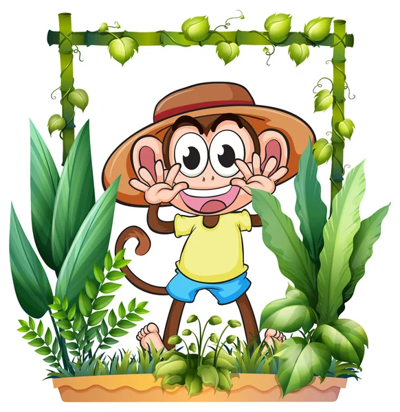 Μια νεαρή και παιχνιδιάρικο μαϊμού — Διανυσματικό Αρχείο