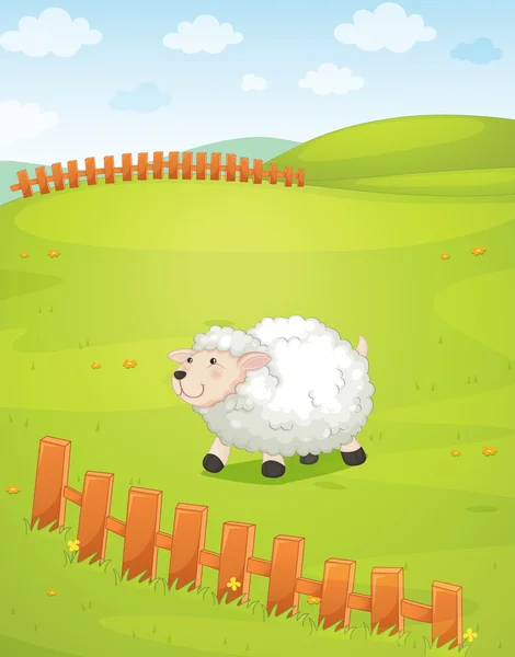 Sheep — Stock Vector