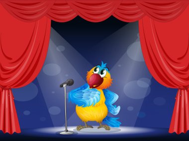 ilgi odağı bir papağan