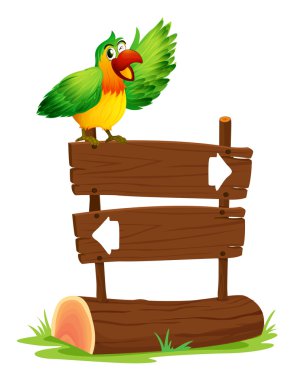 Yukarıda bir tabela papağan